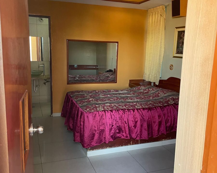 e3822a29-843f-44e5-8eb3-040ed10294a5_large