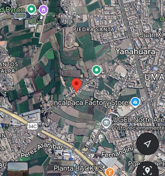 f28f31e4-fe00-4d6a-941e-66c53b28144f_large